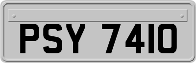 PSY7410