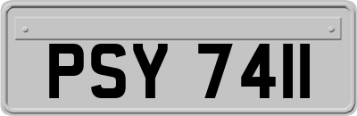 PSY7411