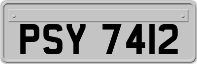 PSY7412