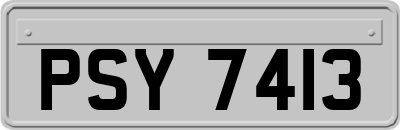 PSY7413