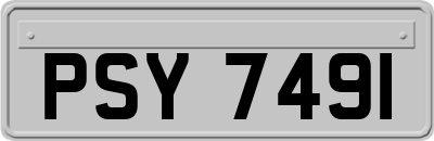 PSY7491