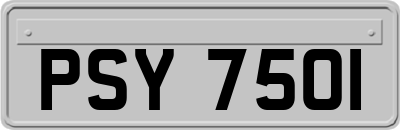 PSY7501