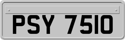 PSY7510