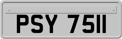PSY7511