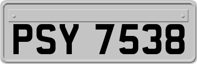 PSY7538