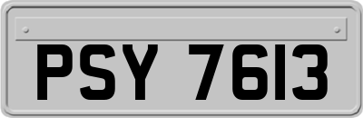 PSY7613