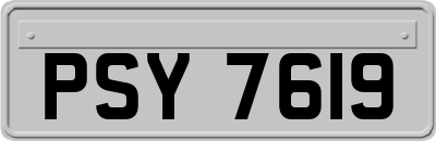 PSY7619