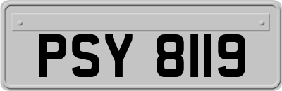 PSY8119