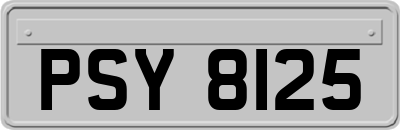 PSY8125