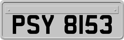 PSY8153