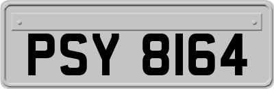 PSY8164