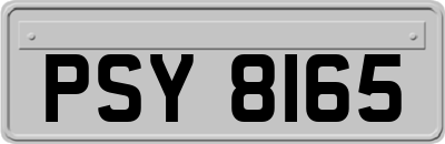 PSY8165