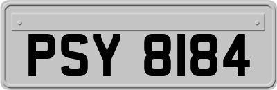 PSY8184