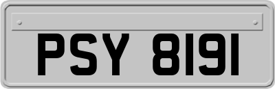 PSY8191