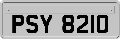 PSY8210