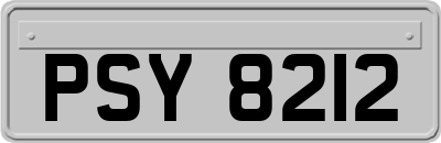 PSY8212