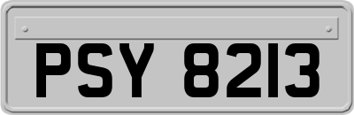 PSY8213