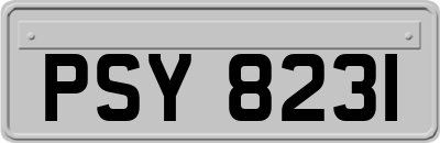 PSY8231