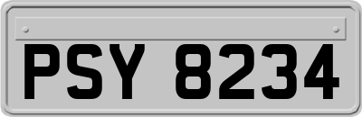 PSY8234