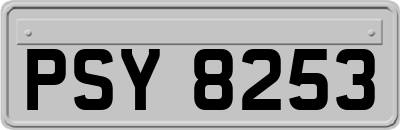 PSY8253