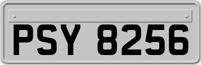 PSY8256