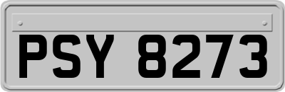 PSY8273