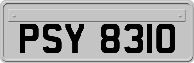 PSY8310