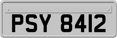 PSY8412