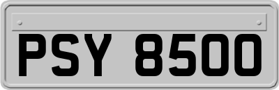 PSY8500