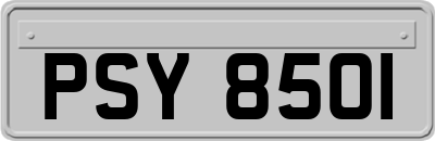 PSY8501