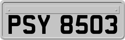 PSY8503