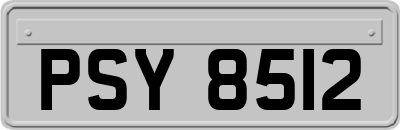 PSY8512