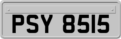 PSY8515