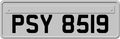 PSY8519