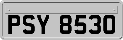 PSY8530