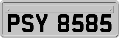 PSY8585