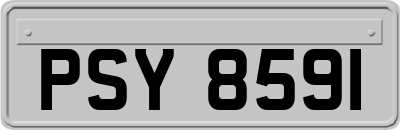 PSY8591