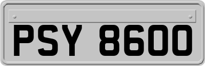 PSY8600