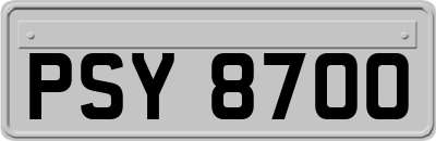 PSY8700