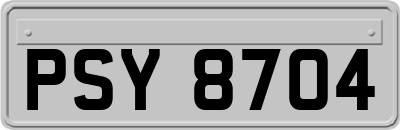 PSY8704