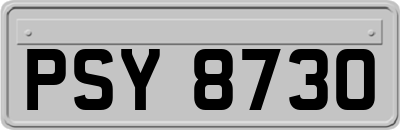 PSY8730