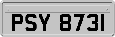 PSY8731