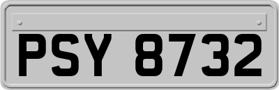 PSY8732