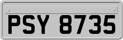 PSY8735