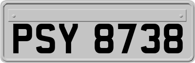 PSY8738