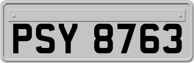 PSY8763