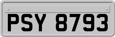 PSY8793