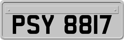 PSY8817