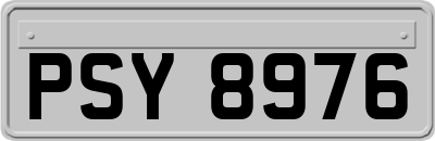PSY8976