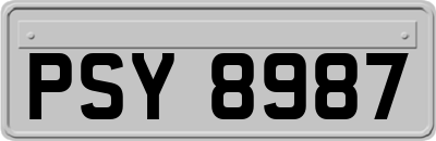 PSY8987
